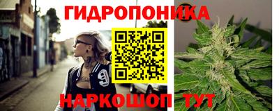 индика Владивосток