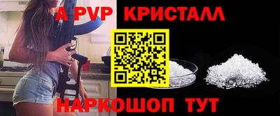 ешки Владимир