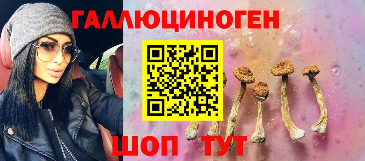 Галлюциногенные грибы Psilocybine cubensis Камышин